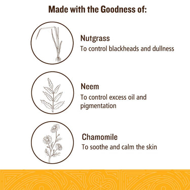 SoulTree Nutgrass Face Wash With Neem & Chamomile | For Oily To Combination Skin - 120ml